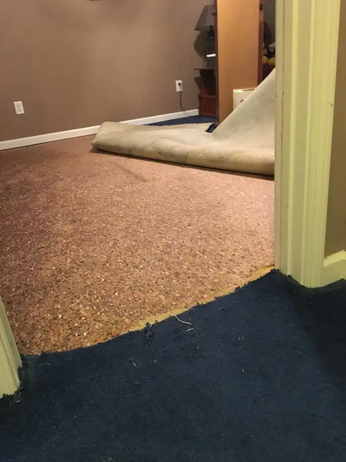Carpet pad removal revealing water damage during Water Mitigation Services in Brownstown