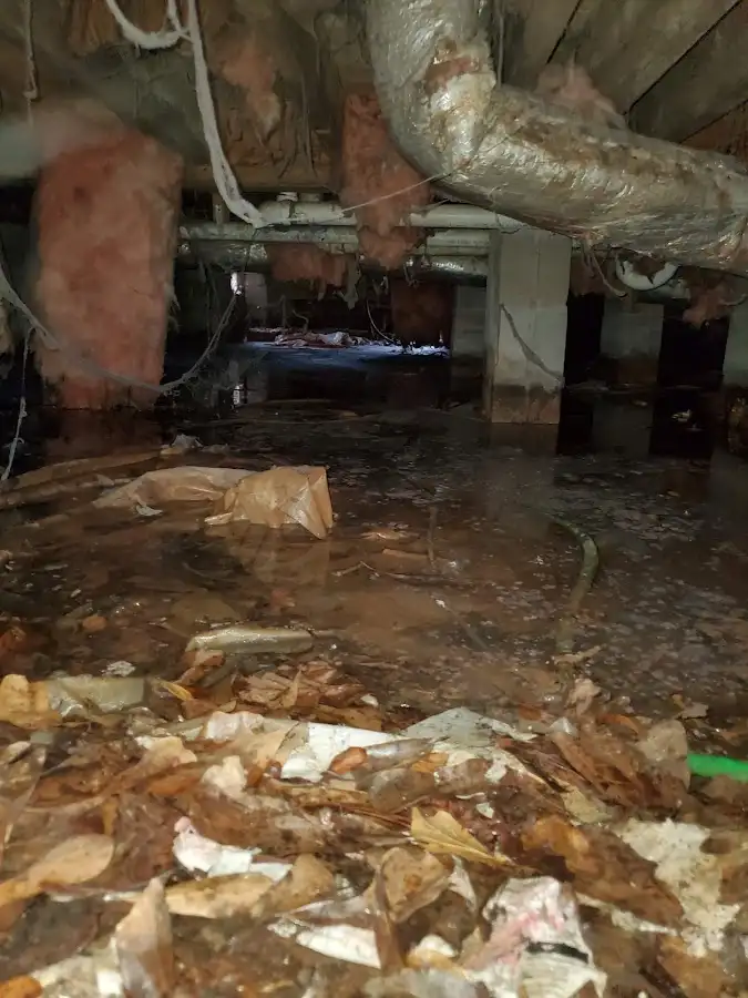 Crawl space flood assessment for Commercial Water Damage Restoration in Brownstown