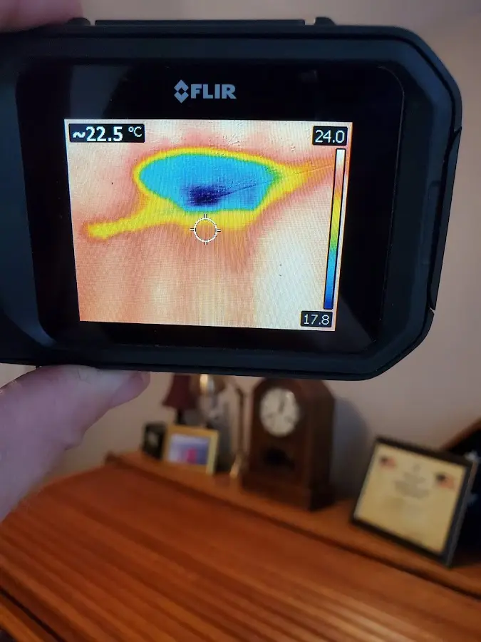 Thermal imaging inspection for water damage in Brownstown